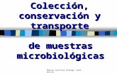 María Cecilia Arango Jaramillo Colección, conservación y transporte de muestras microbiológicas.
