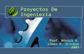 Proyectos De Ingeniería Prof. Mónica A. López D. Octubre 2007.
