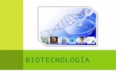 BIOTECNOLOGÍA.  La biotecnología consiste simplemente en la utilización de microorganismos así como de células vegetales y animales para producir materiales.