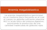 La anemia megaloblástica (perniciosa) es un trastorno poco frecuente en el cual el cuerpo no absorbe suficiente vitamina B12 ni acido folico del sistema.