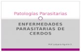ENFERMEDADES PARASITARIAS DE CERDOS Patologías Parasitarias Prof: Judyana Aguirre V.