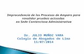 PROCURADURÍA PÚBLICA - SUNAT Improcedencia de los Procesos de Amparo para revalidar pruebas actuadas en Sede Contenciosa Administrativa Dr. JULIO MUÑOZ.