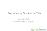 Emociones y Sentido de Vida Agosto 2014 Guillermo Llinas Angulo.