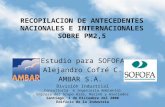 RECOPILACION DE ANTECEDENTES NACIONALES E INTERNACIONALES SOBRE PM2,5 Estudio para SOFOFA Alejandro Cofré C. AMBAR S.A. División Industrial Consultoría.