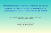 CARACTERIZACIÓN DE GENOMAS COMPLETOS DE VIH-1: IDENTIFICACIÓN DE CLUSTERS FILOGENÉTICOS Y RECOMBINANTES INTRA E INTERSUBTIPO EN PANAMÁ Sara Ahumada-Ruiz,