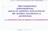 Herramientas - Nancy I. López 2011 Curso Teórico-Práctico de Posgrado Herramientas informáticas para el análisis estructural de ácidos nucleicos y proteínas.