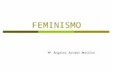 FEMINISMO Mª Ángeles Arráez Monllor. INTRODUCCIÓN  El feminismo es un movimiento político más que una teoría sistemática. Está ligado a la acción y es.