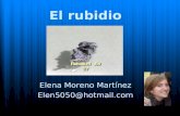 El rubidio Elena Moreno Martínez Elen5050@hotmail.com.