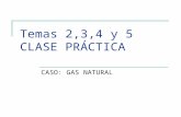 Temas 2,3,4 y 5 CLASE PRÁCTICA CASO: GAS NATURAL.