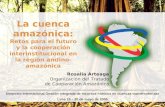 Rosalía Arteaga Organización del Tratado de Cooperación Amazónica La cuenca amazónica: Retos para el futuro y la cooperación interinstitucional en la región.