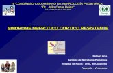 SINDROME NEFROTICO CORTICO RESISTENTE Nelson Orta Servicio de Nefrología Pediátrica Hospital de Niños - Univ. de Carabobo Valencia - Venezuela IV CONGRESO.