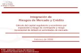Febrero de 2008 Integración de Riesgos de Mercado y Crédito Cálculo del capital regulatorio y económico por exposición a riesgo de contraparte y riesgo.