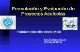 Formulación y Evaluación de Proyectos Acuícolas Fabrizio Marcillo Morla MBA barcillo@gmail.com (593-9) 4194239.