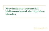 Movimiento potencial bidimensional de líquidos ideales Mª Victoria Lapuerta González Ana Laverón Simavilla.