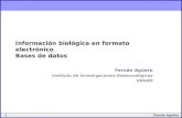 1Fernán Agüero Información biológica en formato electrónico Bases de datos Fernán Agüero Instituto de Investigaciones Biotecnológicas UNSAM.