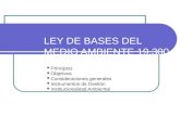 Natalia Fernández Sepúlveda LEY DE BASES DEL MEDIO AMBIENTE 19.300 Principios Objetivos Consideraciones generales Instrumentos de Gestión Institucionalidad.