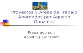 Proyectos y Áreas de Trabajo Abordados por Agustín González Preparado por: Agustín J. González.