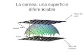 La cornea: una superficie diferenciable Plano del cristalino Plano del apex sagital plana.