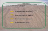 Marco conceptual Componente histórico Componente dinámico Componente social Componente territorial