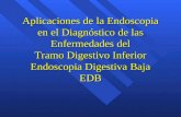 Aplicaciones de la Endoscopia en el Diagnóstico de las Enfermedades del Tramo Digestivo Inferior Endoscopia Digestiva Baja EDB.
