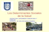 Los Determinantes Sociales de la Salud ASIGNATURA: ENFERMERIA COMUNITARIA Y FAMILIAR DOCENTE: SR. NELSON MUÑOZ ROMERO.