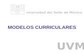 MODELOS CURRICULARES Universidad del Valle de México UVM.