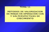 TEMA 11 METODOS DE VALORIZACION DE MINAS EN OPERACIÓN CON Y SIN PERSPECTIVAS DE CRECIMIENTO.