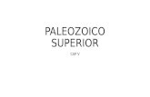 PALEOZOICO SUPERIOR CAP V. introducción Material discordante sobre el silúrico Discordante bajo el triásico Devónico carbonífero y pérmico Regiones tipo.