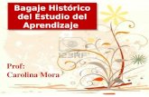 Bagaje Histórico del Estudio del Aprendizaje Prof: Carolina Mora.