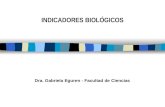 INDICADORES BIOLÓGICOS Dra. Gabriela Eguren - Facultad de Ciencias.