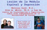 Lesión de la Médula Espinal y Depresi ó n Melissa Gard, M.A., Glen W. White, Ph.D. y Sam Ho Centro de Investigación y Capacitación sobre Vida Independiente.