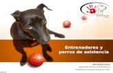 Entrenadores y perros de asistencia Alex Letelier Castro Entrenador de Perros de Asistencia Presidente Fundación Mastercan Chile.
