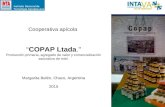 Cooperativa apícola “COPAP Ltada.” Producción primaria, agregado de valor y comercialización asociativa de miel. Margarita Belén, Chaco, Argentina 2015.