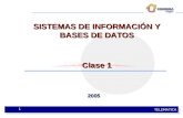 TELEMATICA 1 SISTEMAS DE INFORMACIÓN Y BASES DE DATOS Clase 1 2005.