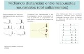 Midiendo distancias entre respuestas neuronales (del saltamontes) Respuesta de una neurona (del saltamontes) a distintos olores Problema (del saltamontes.