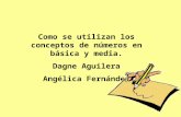 Como se utilizan los conceptos de números en básica y media. Dagne Aguilera Angélica Fernández.