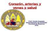 Corazón, arterias y venas y salud Prof. Tomás Quesada Departamento de Fisiología Facultad de Medicina UMU.