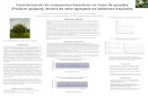 Caracterización de compuestos bioactivos en hojas de guayaba (Psidium guajava): técnica de valor agregado en botánicos tropicales Lizmar Pérez Pérez1,