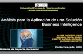 Análisis para la Aplicación de una Solución Business Intelligence ALLAN PACHECO, JULIO BALDEON SULTA, ROGER FUERTES CATANO, ROCARDO JACOBINI SACCHETTI.