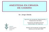 ANESTESIA EN CIRUGÍA DE CADERA Servicio de Anestesia, Reanimación y Tratamiento del Dolor. Consorcio Hospital General Universitario de Valencia. Dr. Jorge.