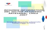 RESUMEN INFORMATIVO DEL SECTOR PESQUERO ARTESANAL, CHILE 2007 Unidad de Innovación y Desarrollo Subsecretaría de Pesca -2009-