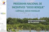 PROGRAMA NACIONAL DE INCENTIVOS “SOCIO BOSQUE” CAPITULO: SOCIO MANGLAR Mayo, 2015 fernando.garcia@ambiente.gob.ec Blgo. Fernando García.