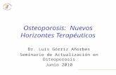Osteoporosis: Nuevos Horizontes Terapéuticos Dr. Luis Górriz Añorbes Seminario de Actualización en Osteoporosis Junio 2010.