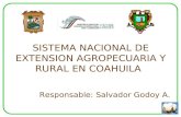 SISTEMA NACIONAL DE EXTENSION AGROPECUARIA Y RURAL EN COAHUILA Responsable: Salvador Godoy A.
