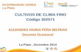 ECAPMA/SUR/ CERES La Plata CULTIVOS DE CLIMA FRIO Código 302571 ALEJANDRA MARIA PEÑA BELTRAN Docente Ocasional La Plata, Diciembre 2014.