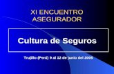 XI ENCUENTRO ASEGURADOR Cultura de Seguros Trujillo (Perú) 9 al 12 de junio del 2005.