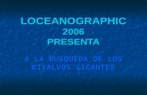 LOCEANOGRAPHIC 2006 PRESENTA A LA BUSQUEDA DE LOS BIVALVOS GIGANTES.