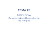 TEMA 25 MICOLOGÍA Características Generales de los Hongos.