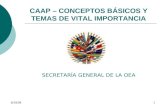8/28/081 CAAP – CONCEPTOS BÁSICOS Y TEMAS DE VITAL IMPORTANCIA SECRETARÍA GENERAL DE LA OEA.