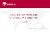 Managua, Nicaragua Enero, 2012 Estudio de Mercado Granada y Somotillo.